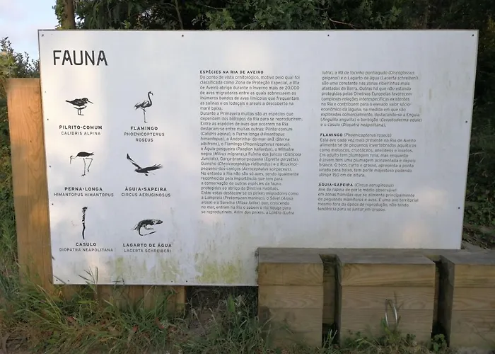 Holiday home Casa Da Balseira Aveiro