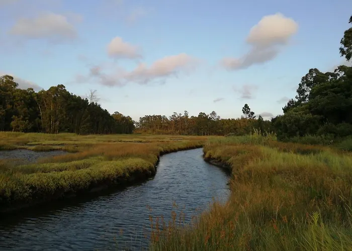 Casa Da Balseira * Aveiro