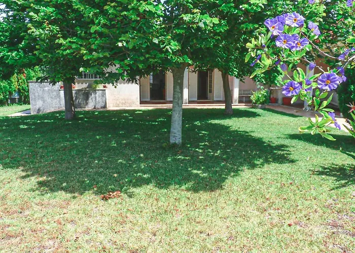 Casa Da Balseira Holiday home *